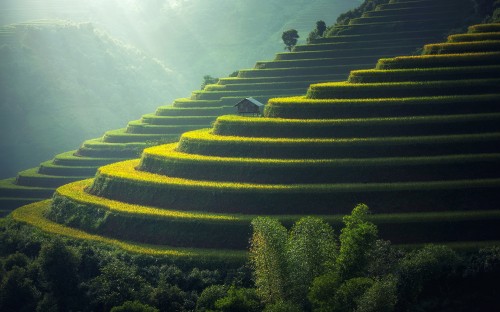 Image green trees on mountain during daytime