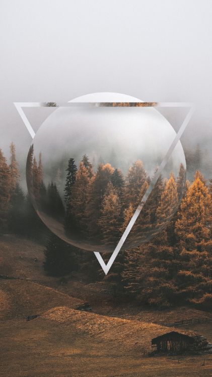 Gemütlicher Herbst, Herbst, Natürlichen Umgebung, Branch, Naturlandschaft. Wallpaper in 1440x2560 Resolution