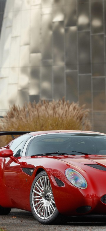 Image zagato mostro maserati, maserati, Zagato, maserati 450s, Maserati Coup