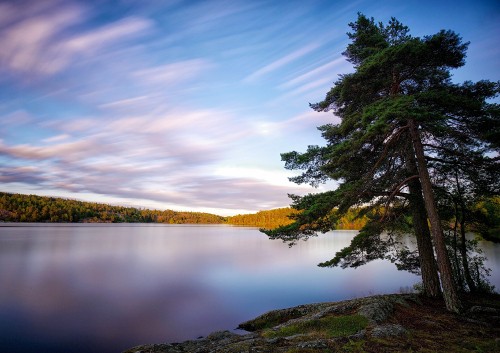 Image green trees beside lake under blue sky during daytime