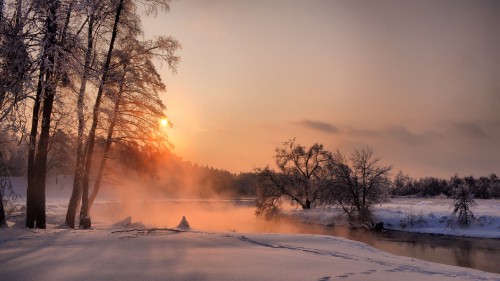 Image bare trees on snow covered ground during sunset