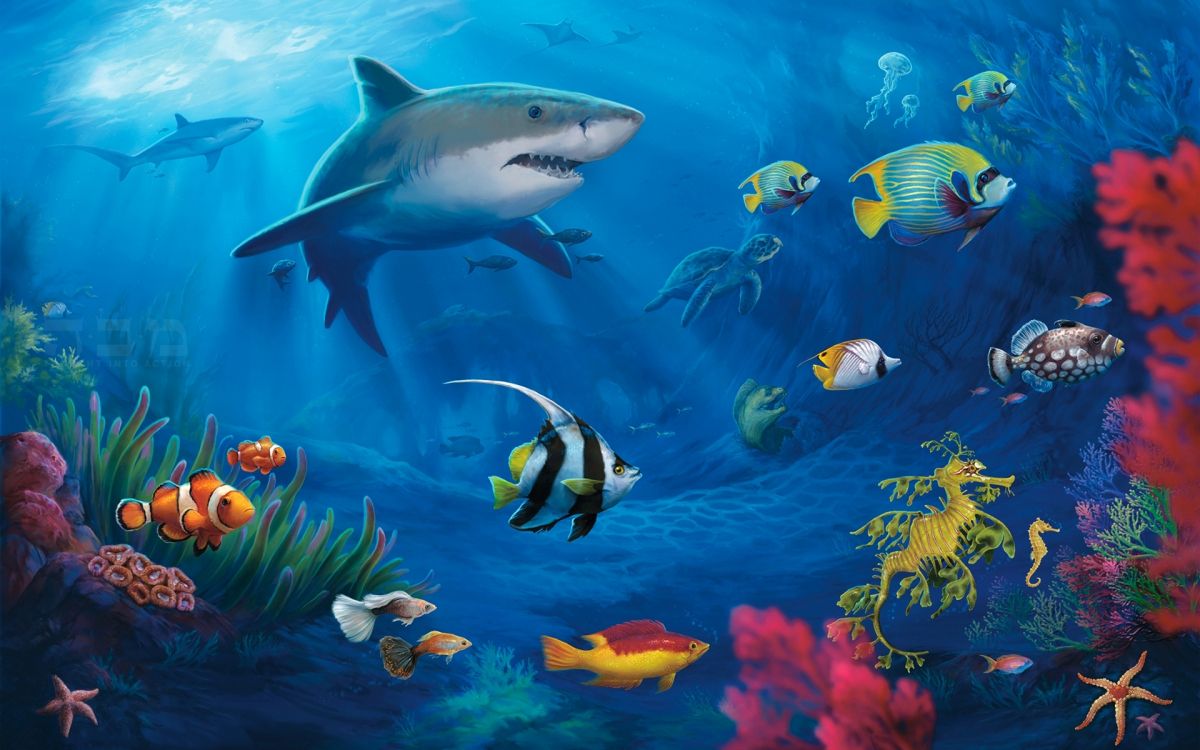 Aquatic Landscape  Aquarium Wallpaper engine  YouTube