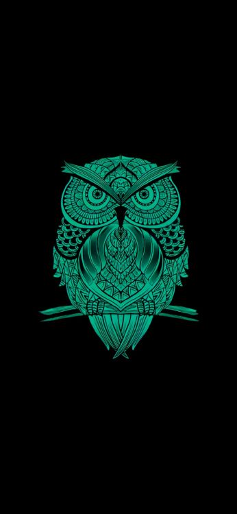 Artes Visuales, Diseño, Verde, Teal, Felidae. Wallpaper in 1080x2340 Resolution
