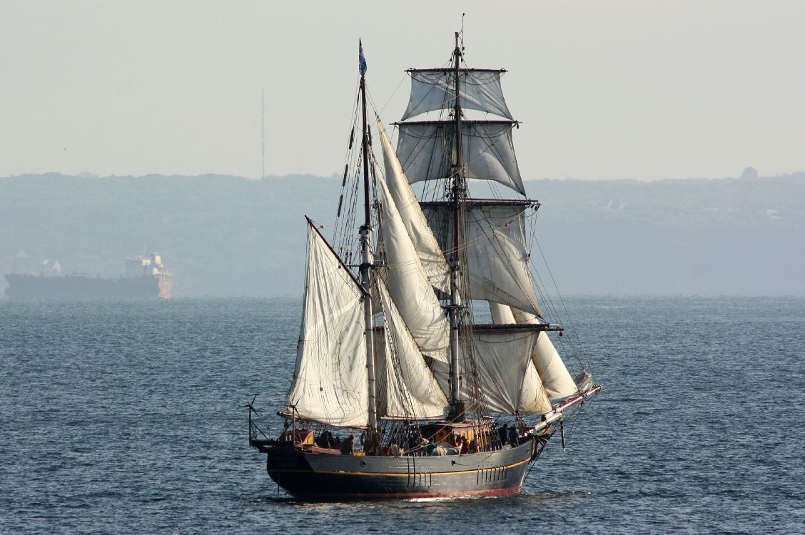 Braunes Und Weißes Segelboot Auf See Tagsüber During. Wallpaper in 3813x2534 Resolution