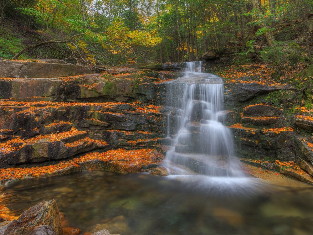 water falls in the middle of the forest