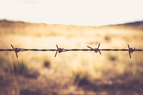 Image gray barbwire in tilt shift lens