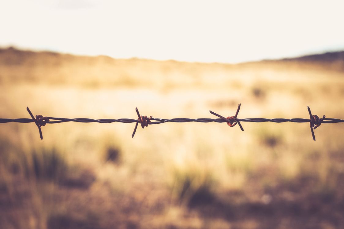 gray barbwire in tilt shift lens