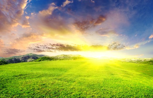 Image green grass field under blue sky and white clouds during daytime