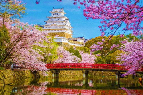 Image white and blue temple near body of water during daytime