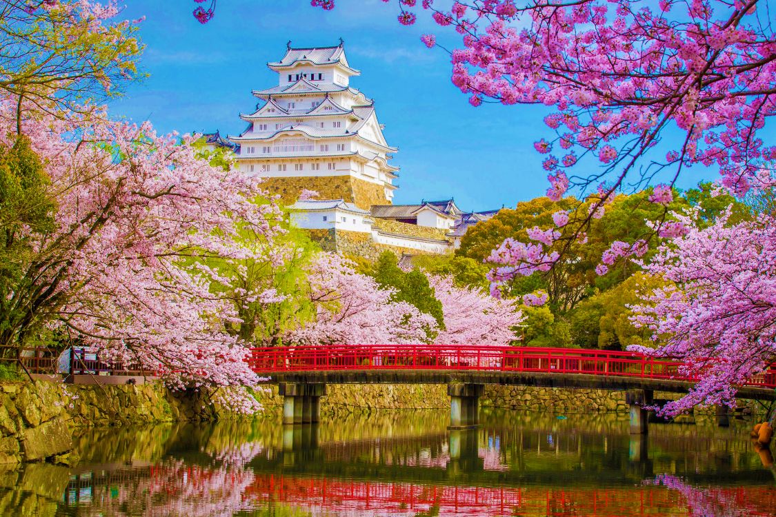 white and blue temple near body of water during daytime