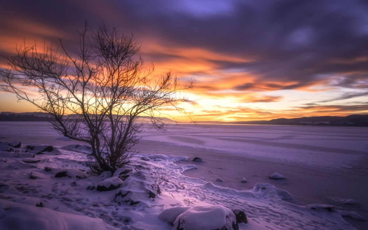 Noruega, Ambiente, Paisaje Natural, Afterglow, Sucursal. Wallpaper in 1920x1200 Resolution