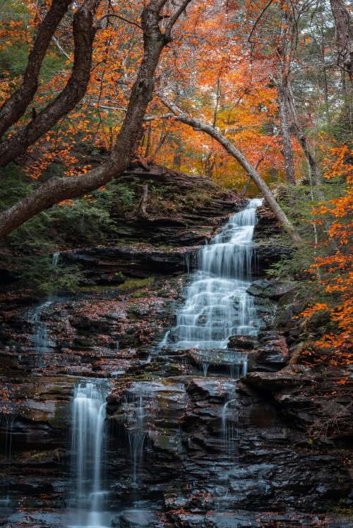 Image waterfall, water, plant, ecoregion, natural environment