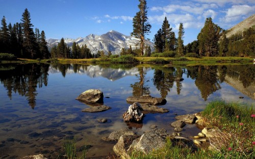 Image green pine trees near lake and snow covered mountain during daytime