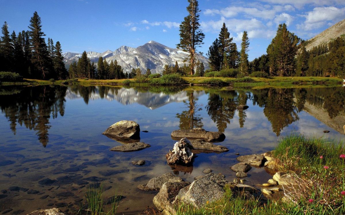 green pine trees near lake and snow covered mountain during daytime