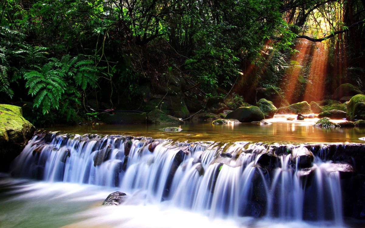 waterfalls in forest during daytime