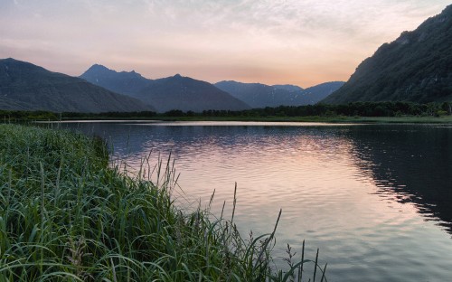 Image green grass near body of water during daytime