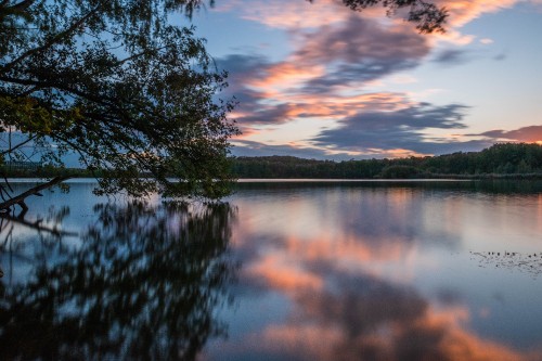 Image water, tree, reflection, nature, natural landscape