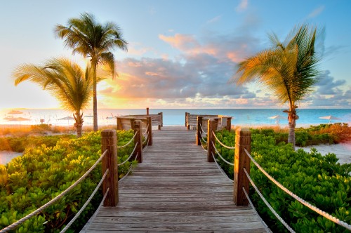 Image brown wooden dock near body of water during daytime