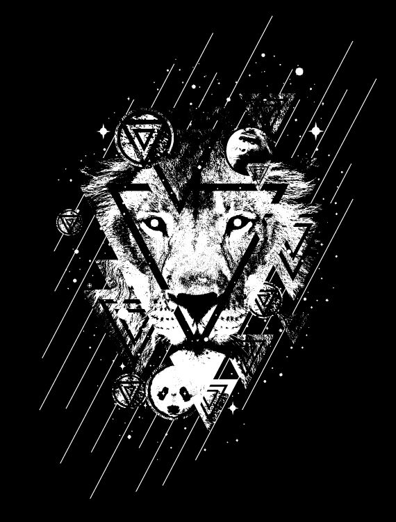 Wallpaper Black and White Lion Sketch Background  Download Free Image