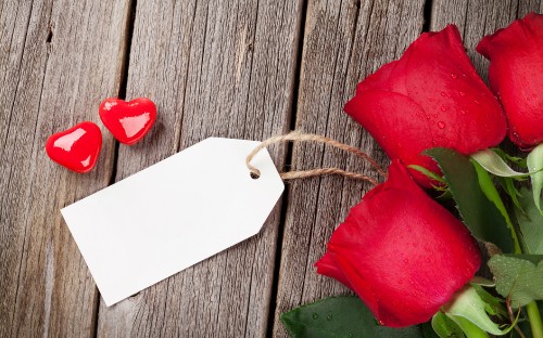 Image red rose beside white paper