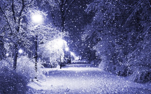 Image snow covered road between trees during daytime