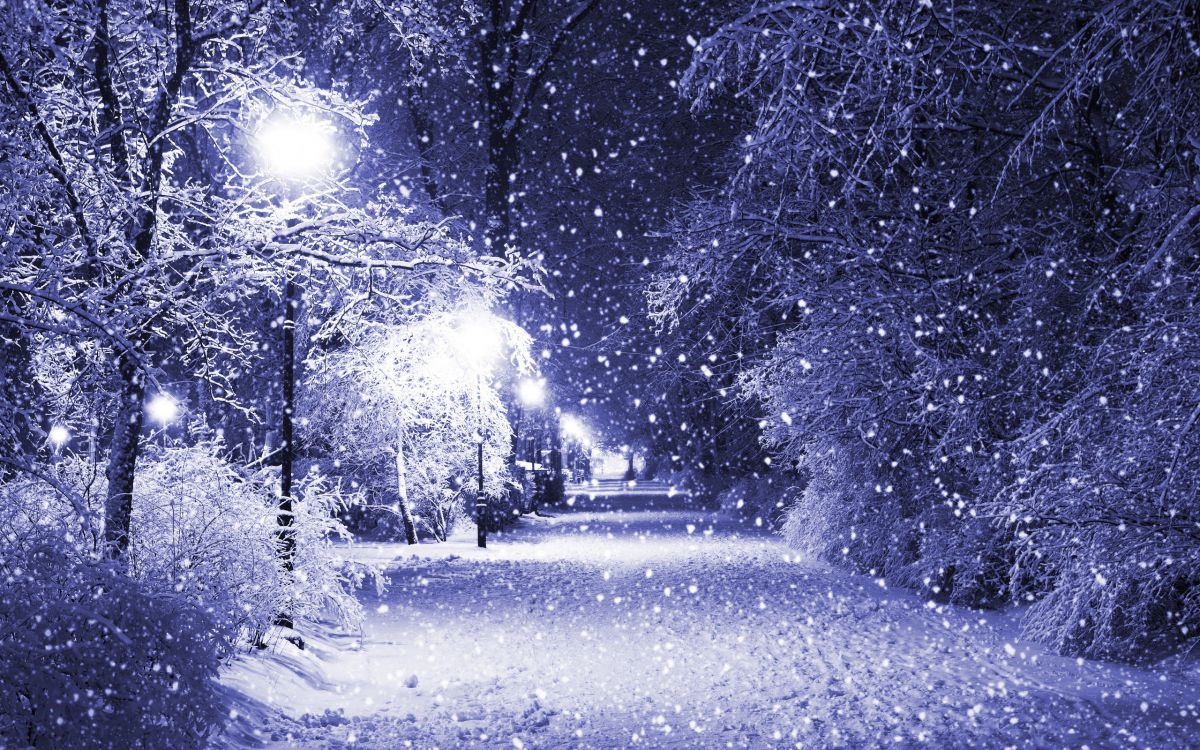 snow covered road between trees during daytime