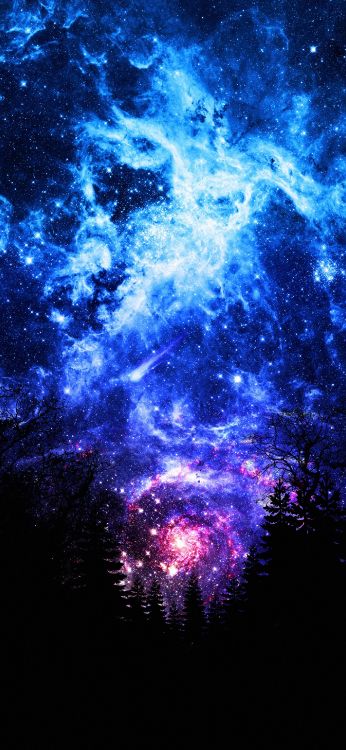 狼蛛星云, 大麦哲伦星云, 明星, R136, 星团 壁纸 1407x3045 允许