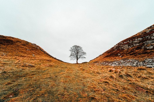 Wallpaper Hill, Ridge, Natural Landscape, Natural Environment, Mountain ...