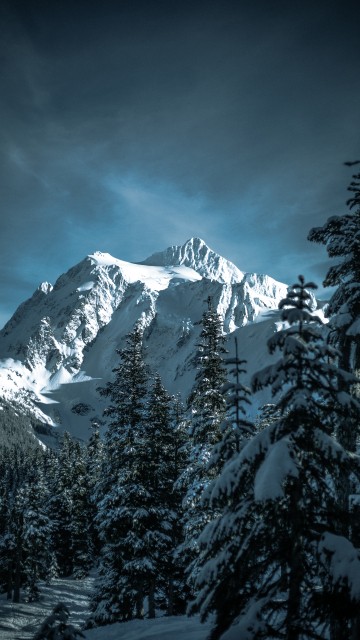 Image winter, skiing, snow, mount shuksan, mountainous landforms