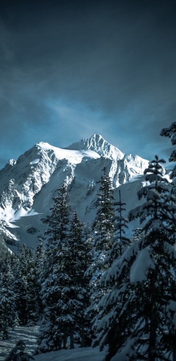 Image winter, skiing, snow, mount shuksan, mountainous landforms
