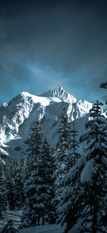 Image winter, skiing, snow, mount shuksan, mountainous landforms