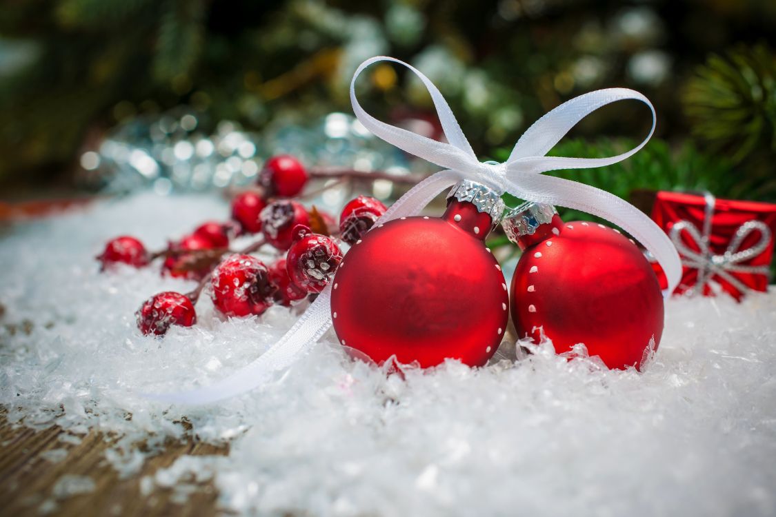 Christmas Ornament, Christmas Day, Christmas Decoration, New Year, Fruit. Wallpaper in 6048x4032 Resolution