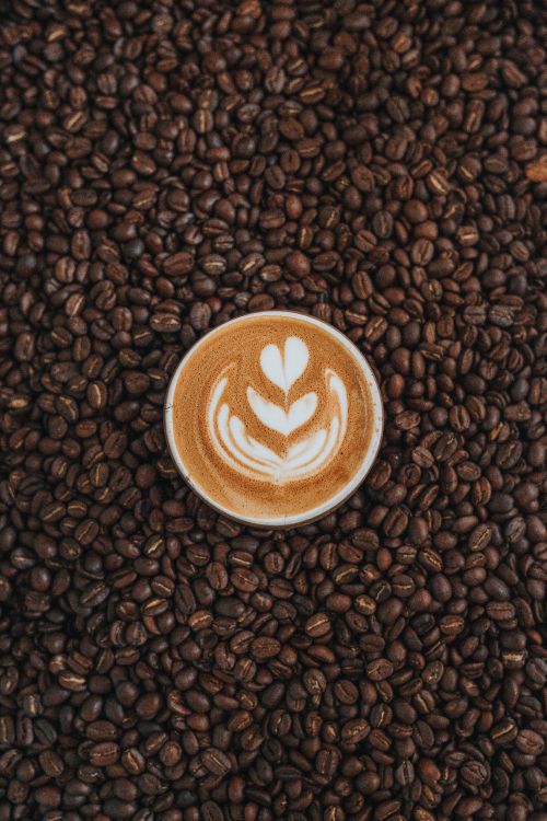 Taza de Cerámica Blanca Sobre Granos de Café Marrón. Wallpaper in 3648x5472 Resolution