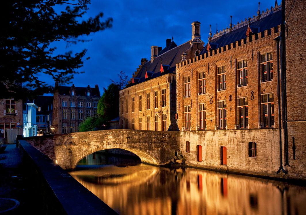 brown concrete building near body of water during night time