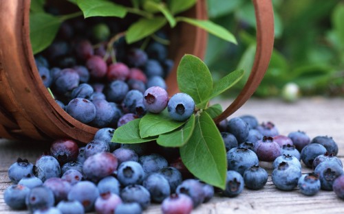 Image blue berries on brown wooden basket