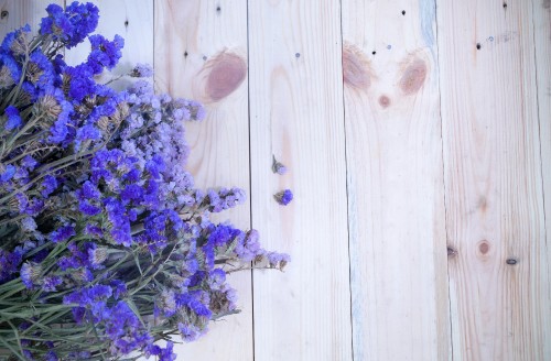 Image reign of brayshaw, flower, lavender, aster, table