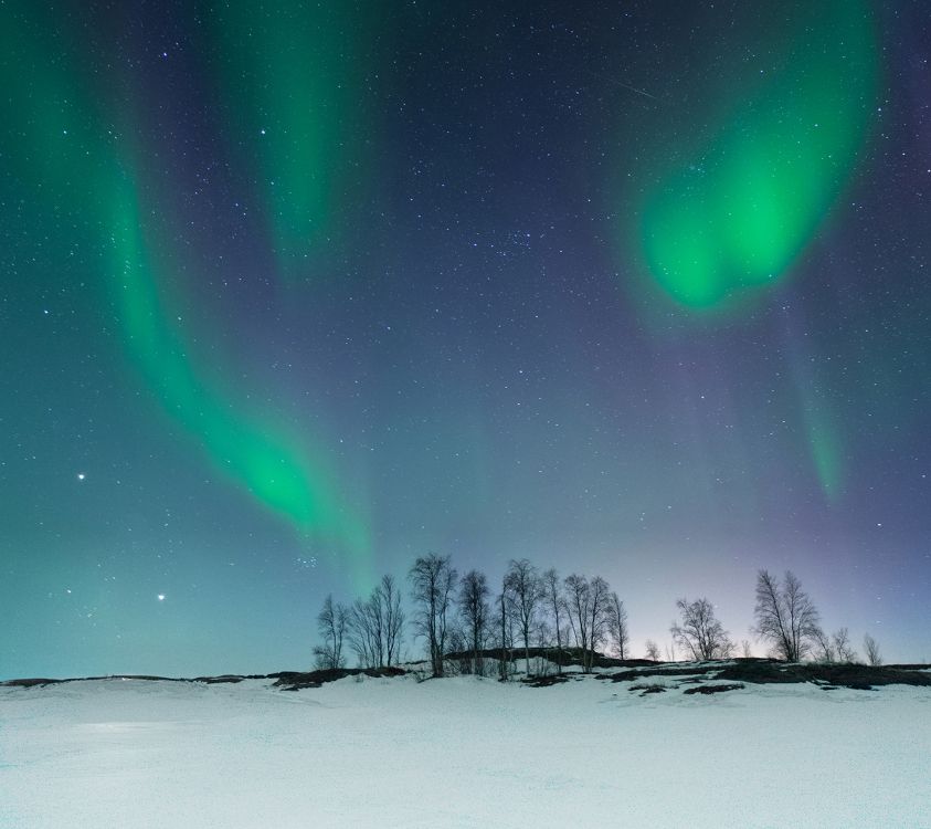 Nokia, Nokia 3.2, Nokia 2 Lager, Nokia 8, Nokia 2. Wallpaper in 1440x1280 Resolution