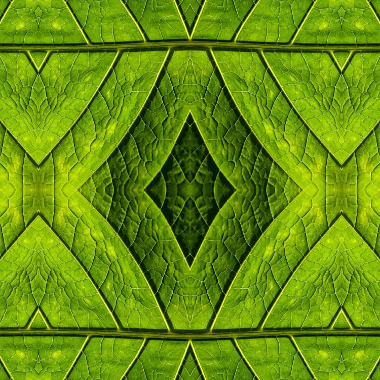 Grüne Und Schwarze Abstrakte Malerei. Wallpaper in 1920x1920 Resolution