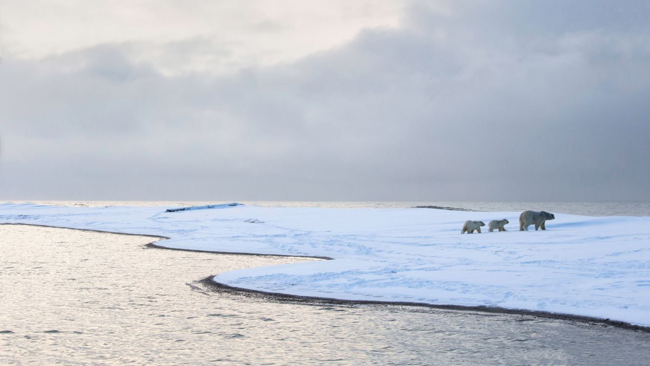 大海, 北冰洋, 性质, 岸边, 海洋 壁纸 3000x1688 允许