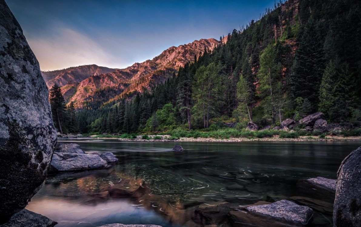 Grüne Bäume in Der Nähe Von Gewässern Tagsüber Water. Wallpaper in 2581x1624 Resolution