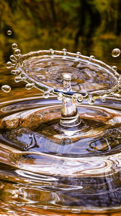 Wasser, Die Universität Von Arizona, Wasserressourcen, Drinkware, Natur. Wallpaper in 1080x1920 Resolution