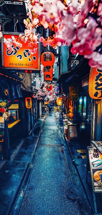Omoide Yokoch, Orange, Quartier, Ruelle, L'espace Public. Wallpaper in 1422x3000 Resolution