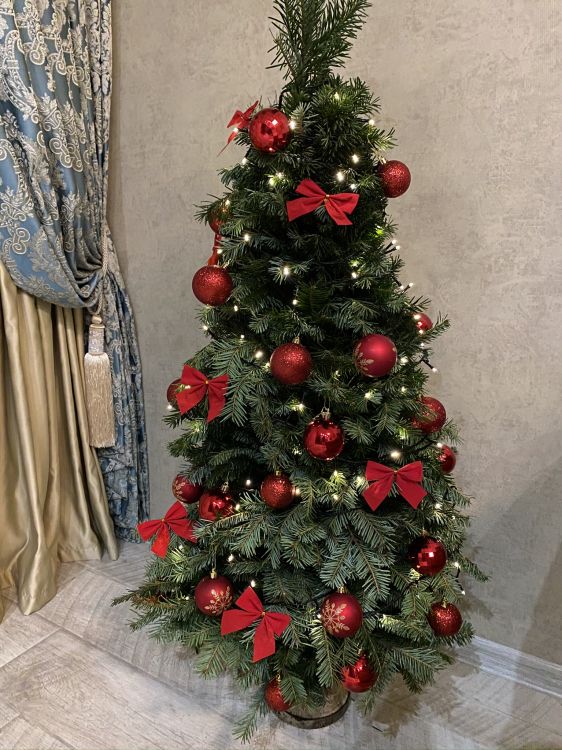 Weihnachtsbaum, Weihnachten, Veranstaltung, Weihnachtsdekoration, Innenarchitektur. Wallpaper in 1536x2048 Resolution