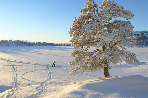 Image person sitting on snow covered ground near body of water during daytime