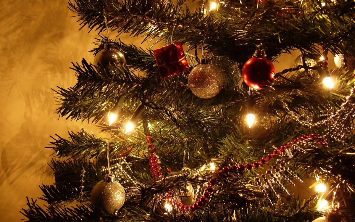 Weihnachten, Weihnachtsbaum, Christmas Ornament, Baum, Weihnachtsdekoration. Wallpaper in 2560x1600 Resolution