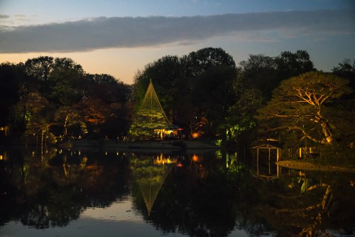 Image body of water near trees during daytime