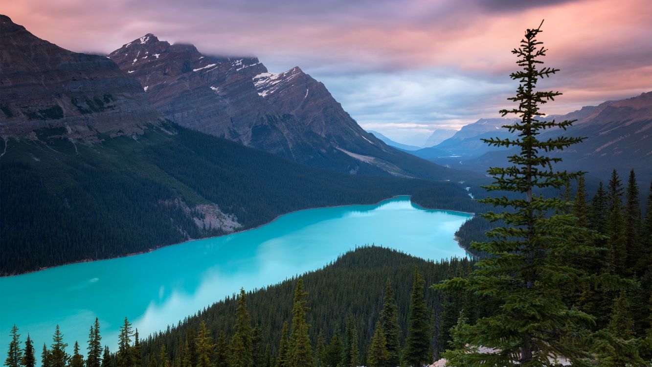 Kanadische Rockies, Moraine Lake, Peyto Lake, Lake Louise, Jasper National Park Von Kanada. Wallpaper in 3840x2160 Resolution