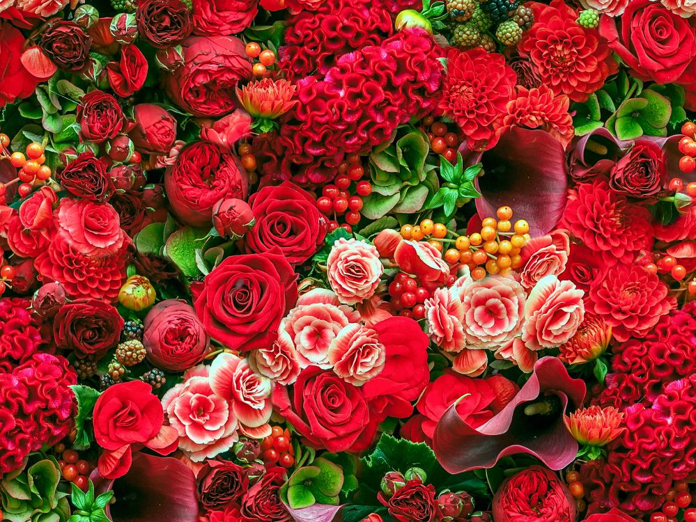 Roses Rouges Avec Des Feuilles Vertes. Wallpaper in 4600x3453 Resolution