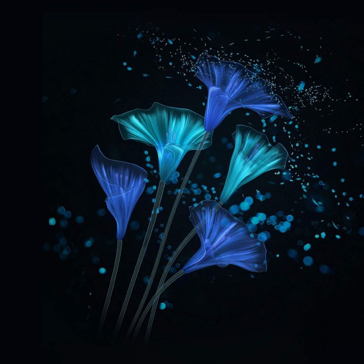 Huawei, Honor Magic 2, Honorer la Magie2, Smartphone, Huawei Honneur 8a. Wallpaper in 2340x2340 Resolution