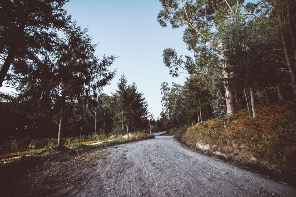 Route, Voie, Asphalt, Paysage Naturel, Hiver. Wallpaper in 7952x5304 Resolution